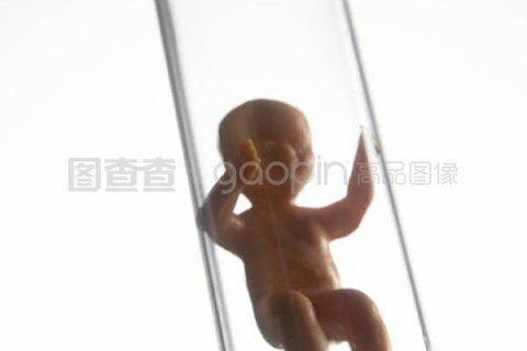 http://wuhan.nbgk120.com/post/209.html|武汉捐卵费用