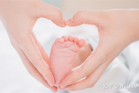 夏天武汉捐卵宝宝发烧 莫要急