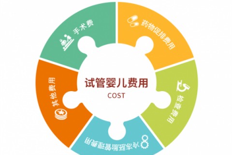 武汉捐卵宝宝肚痛，父母该怎么办？